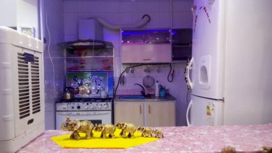 سوئیت شهرکرد